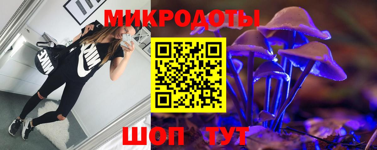 Камышлов  Галлюциногенные грибы Psilocybine cubensis  даркнет сайт  Вход с VPN 